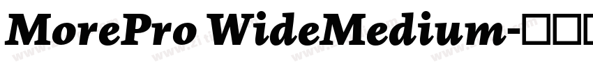MorePro WideMedium字体转换